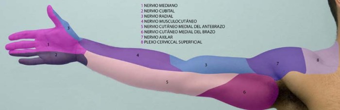 39C83EA5-F698-4BDB-A9AC-B5351045DBBD